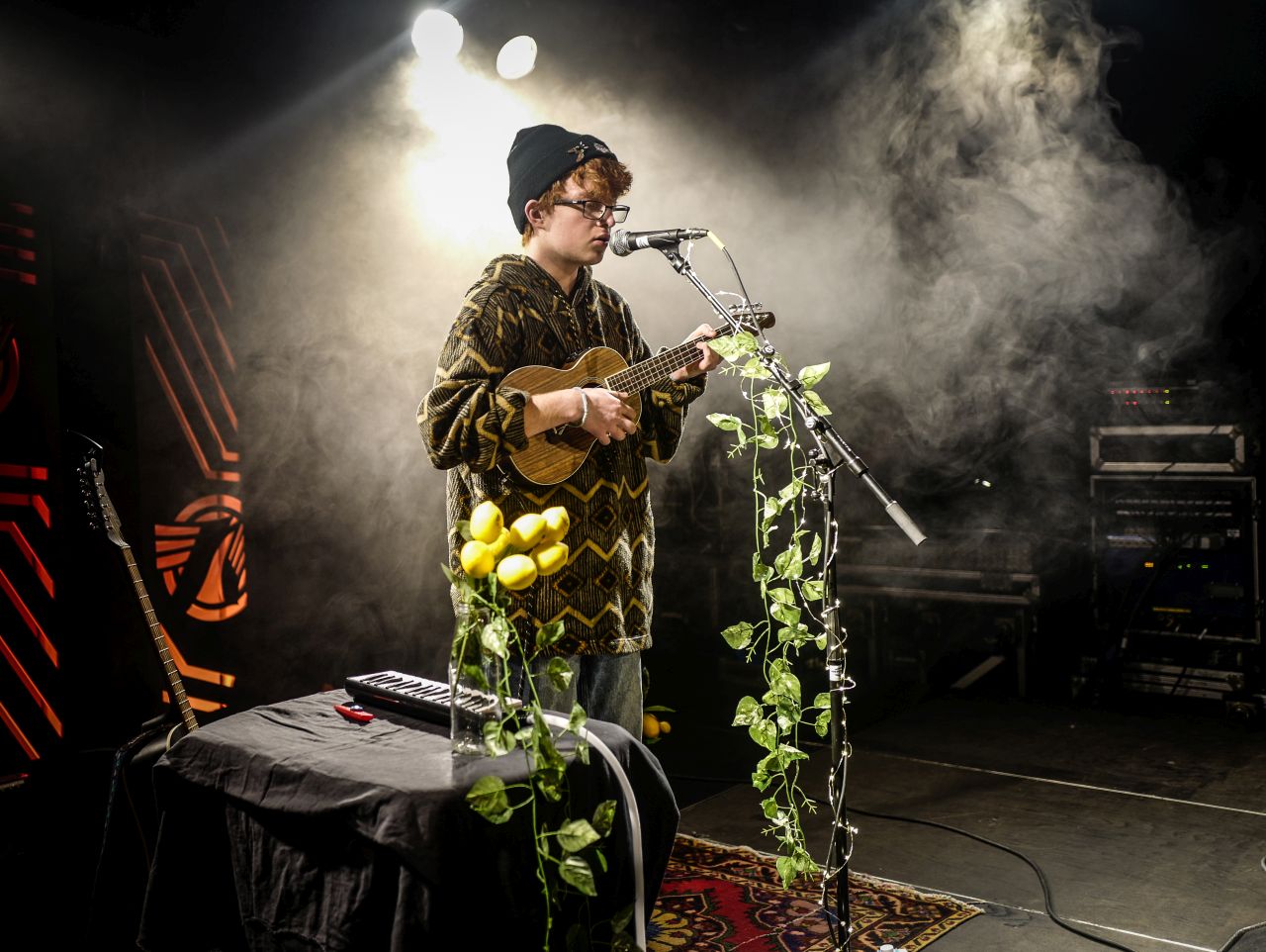 Cavetown live auf dem Eurosonic Noorderslag 2019 (Foto: Danilo Rößger)